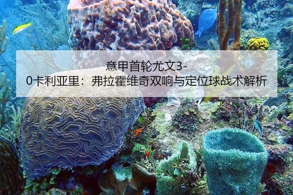 意甲首轮尤文3-0卡利亚里：弗拉霍维奇双响与定位球战术解析